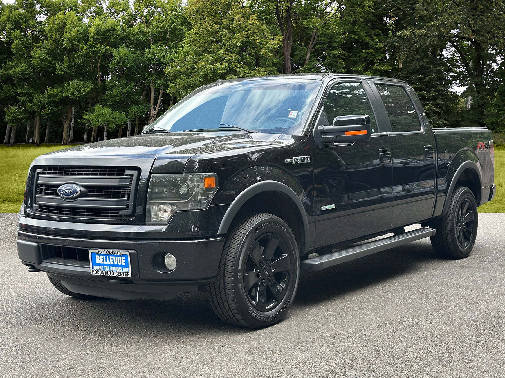 2014 Ford F-150 FX4
