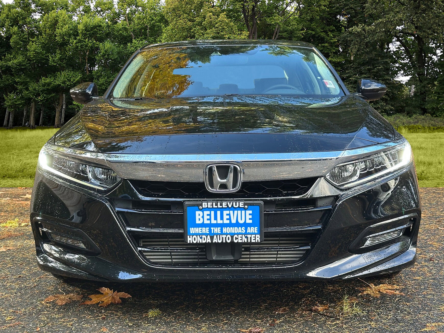 2019 Honda Accord Sedan EX-L 1.5T
