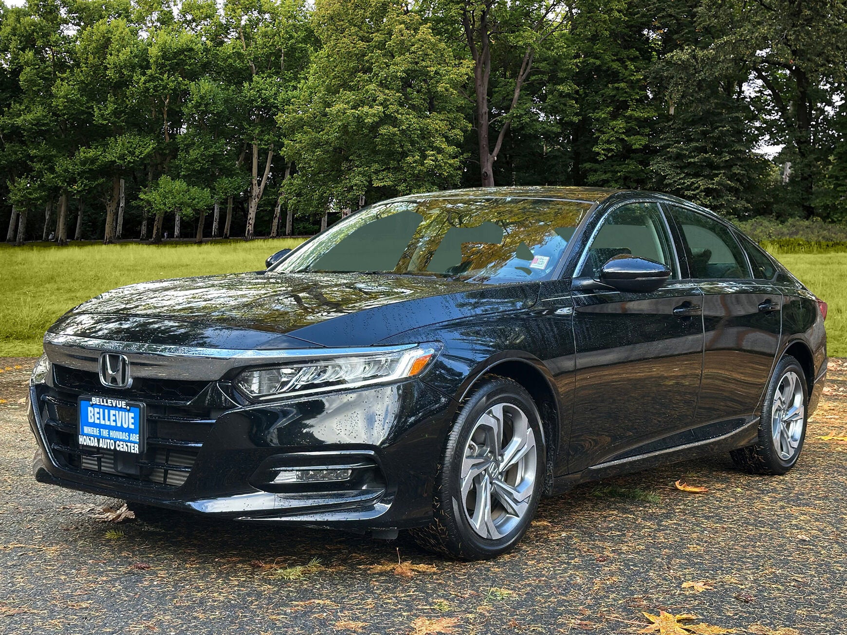 2019 Honda Accord Sedan EX-L 1.5T