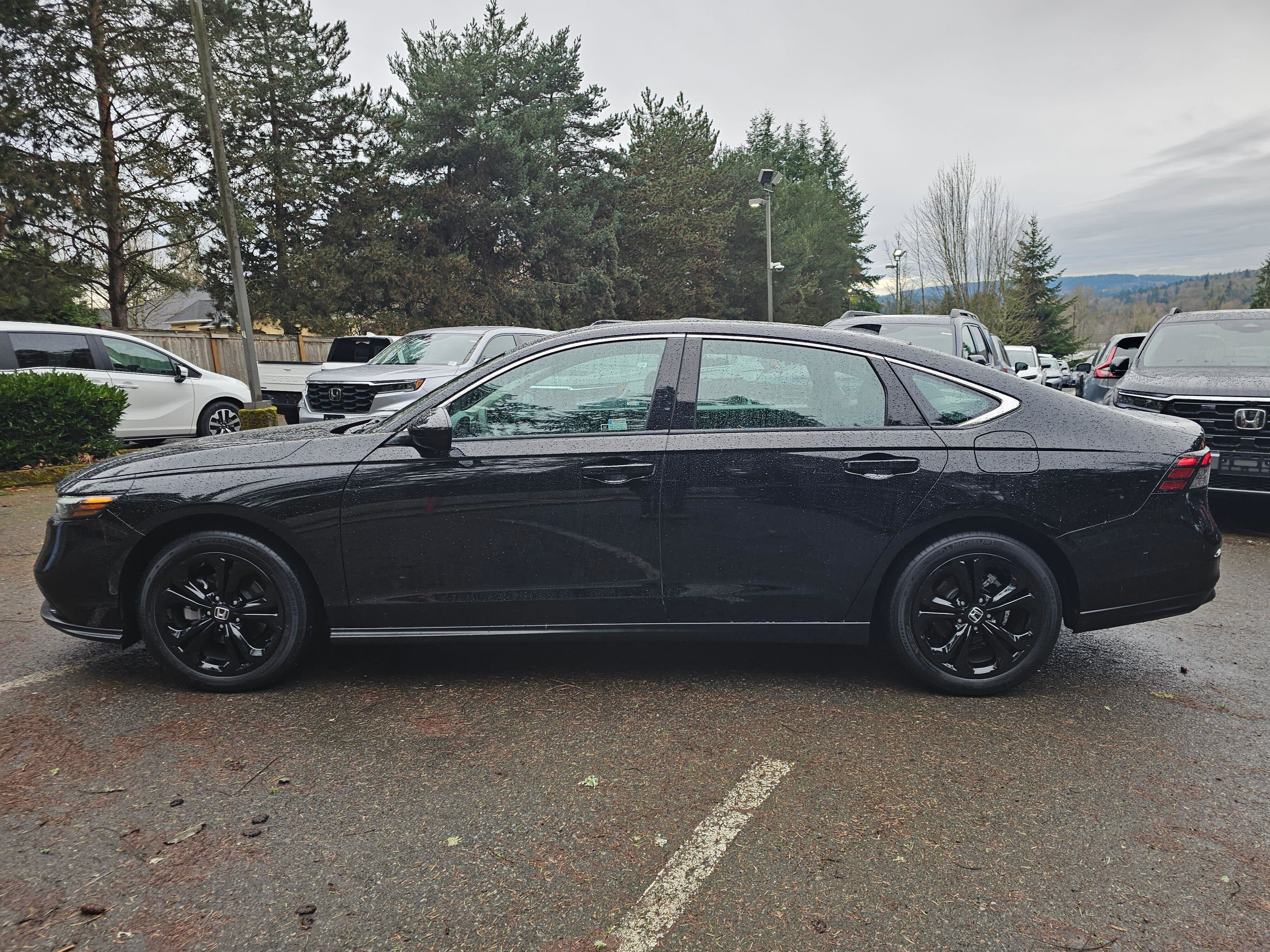 2023 Honda Accord Sedan EX