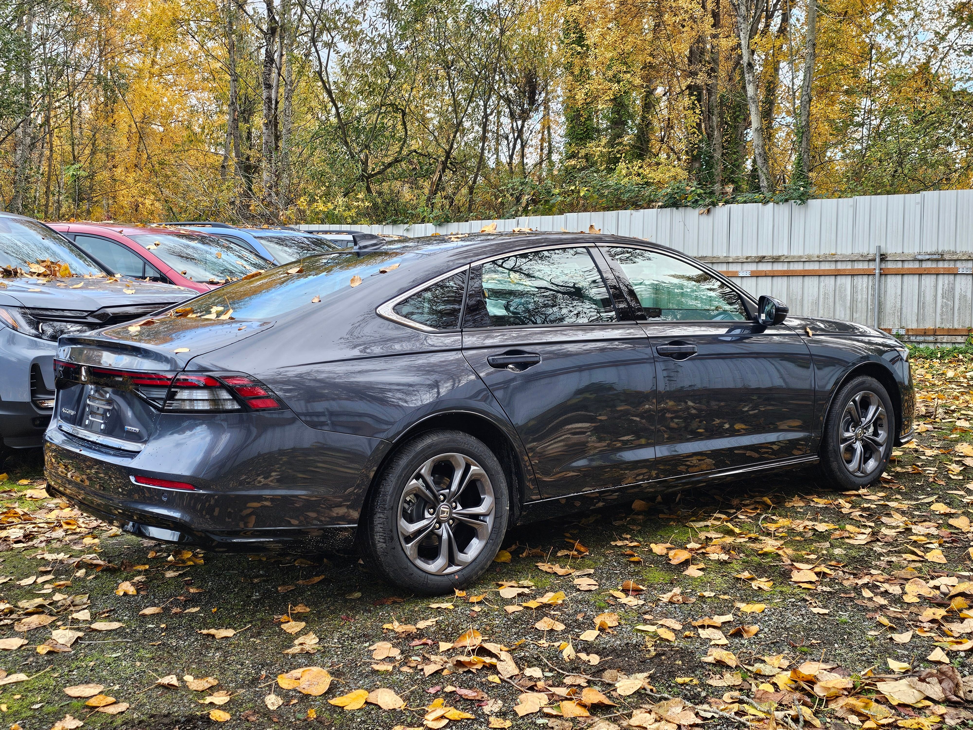 2025 Honda Accord Hybrid EX-L