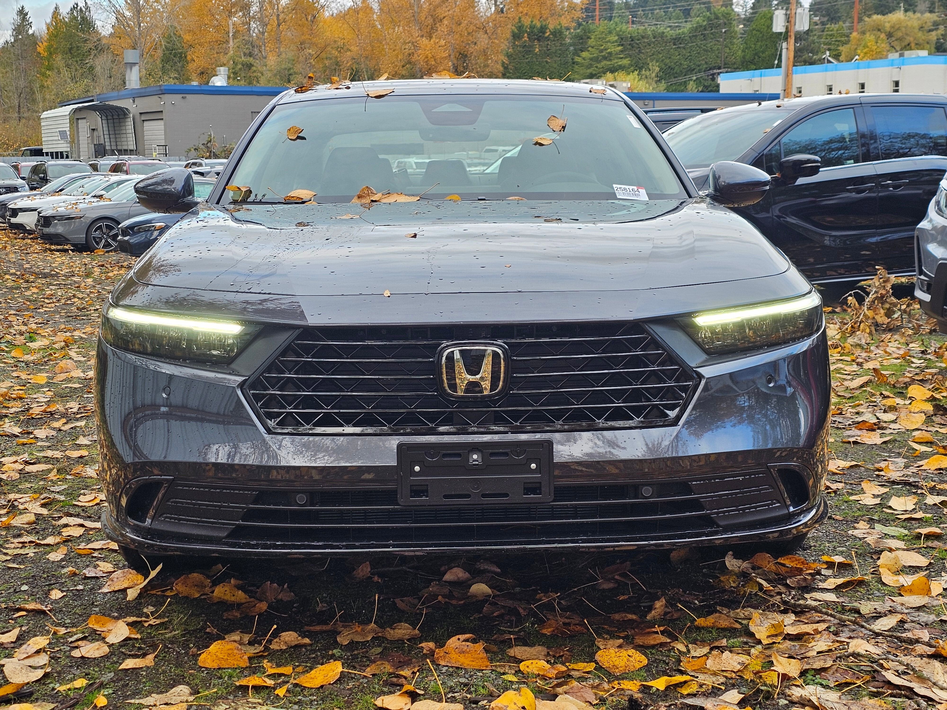 2025 Honda Accord Hybrid EX-L