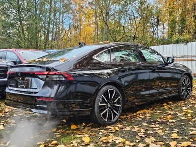 2025 Honda Accord Hybrid Touring