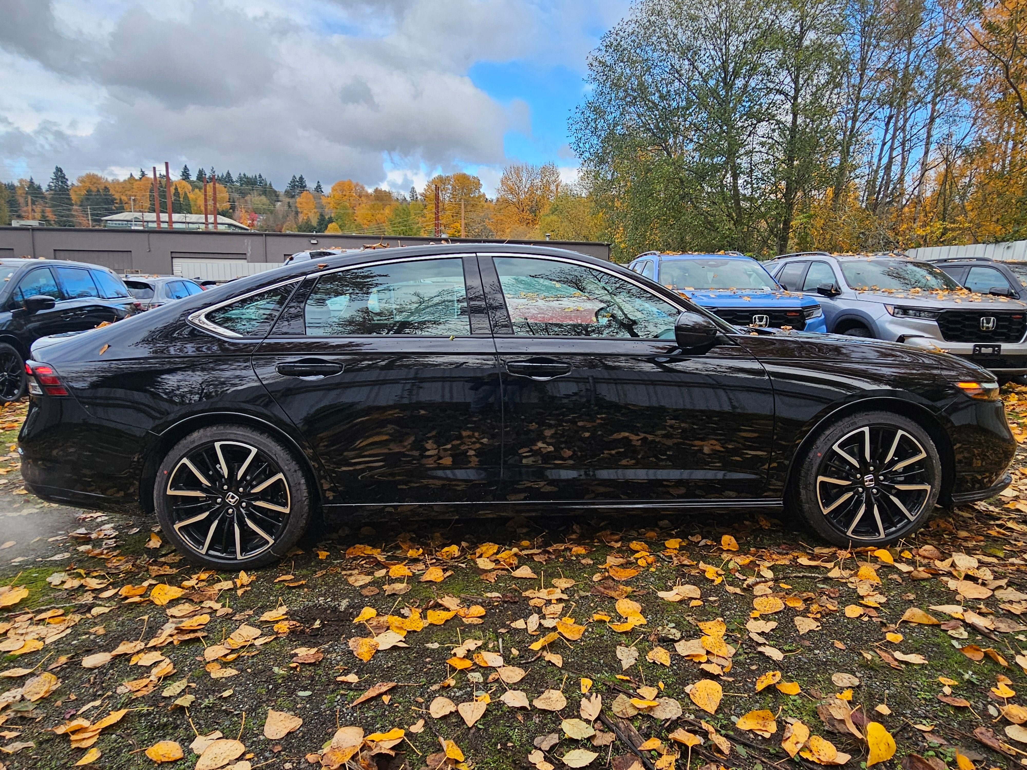 2025 Honda Accord Hybrid Touring