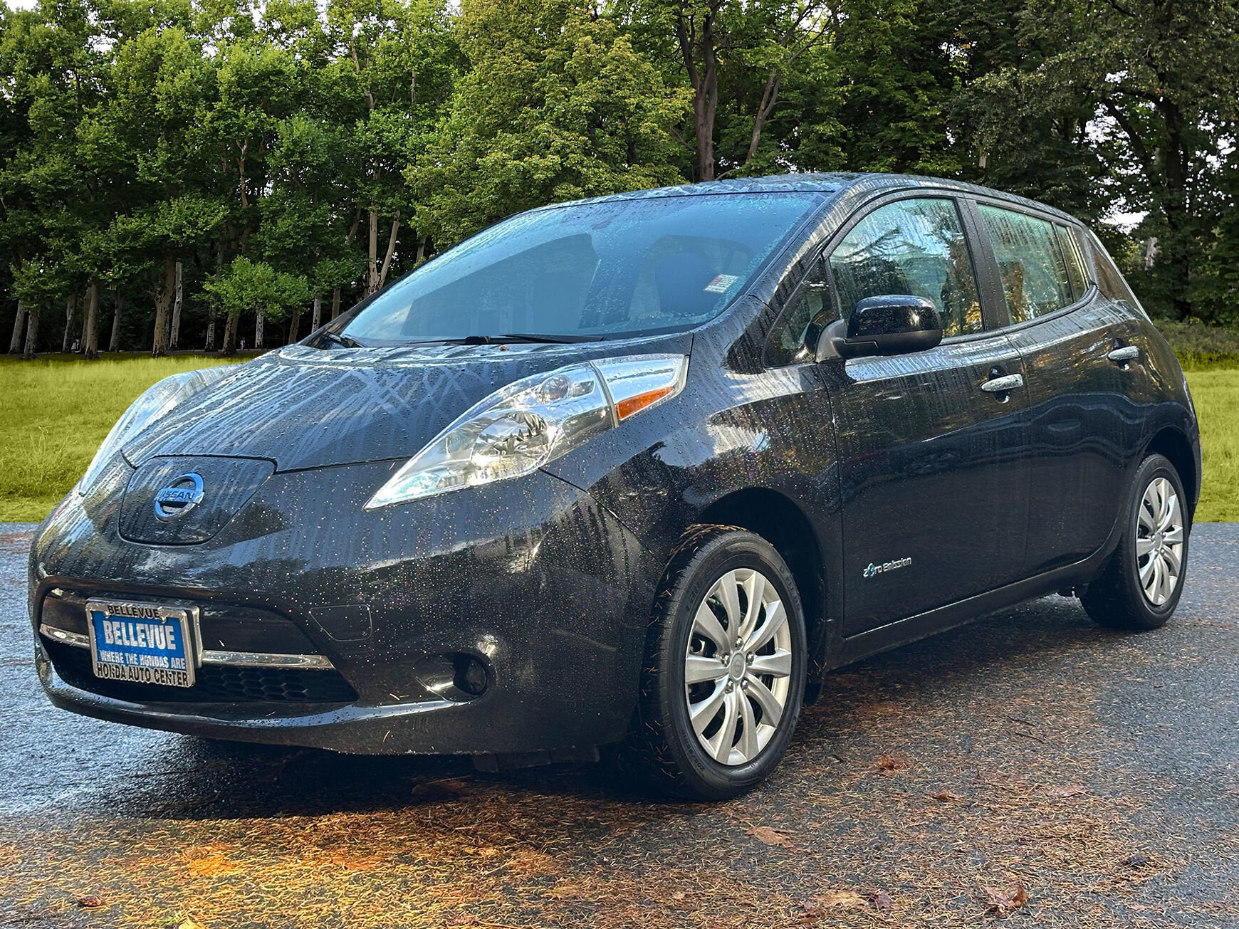 2016 Nissan LEAF S
