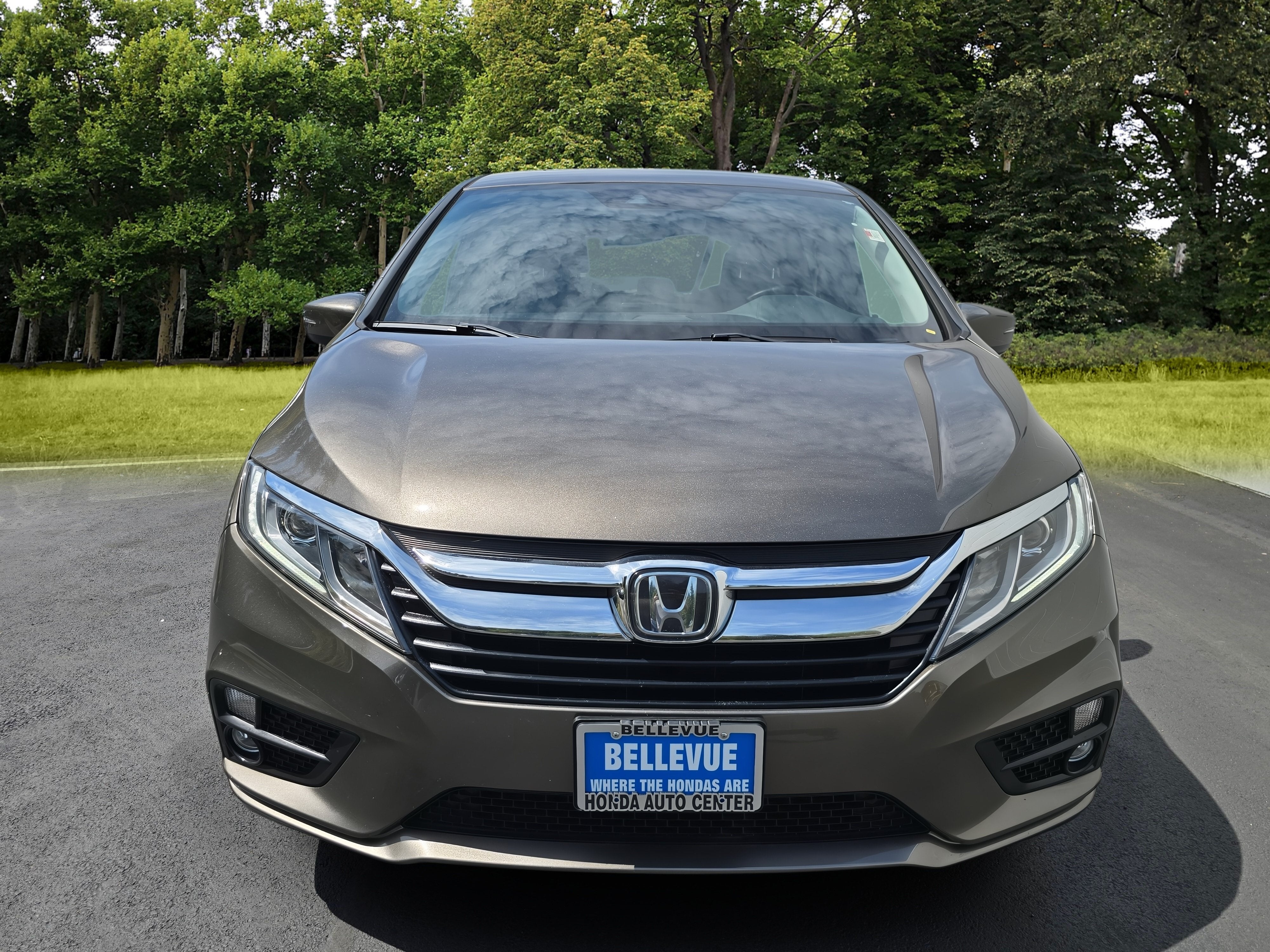 2019 Honda Odyssey EX-L