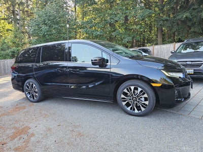 2026 Honda Odyssey Elite