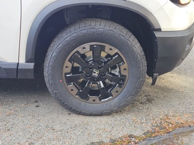 2026 Honda Passport TRAILSPRTE