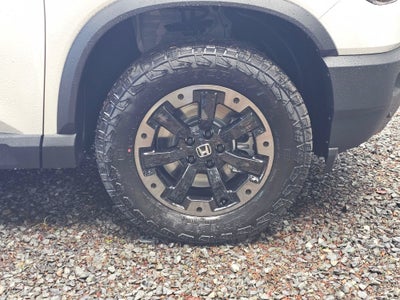 2026 Honda Passport TRAILSPRTE