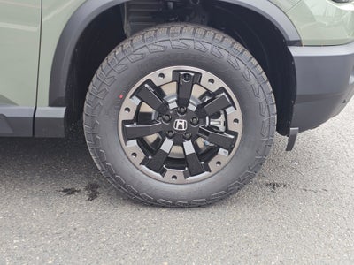 2026 Honda Passport TRAILSPRTE