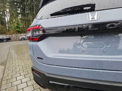 2026 Honda Pilot Sport