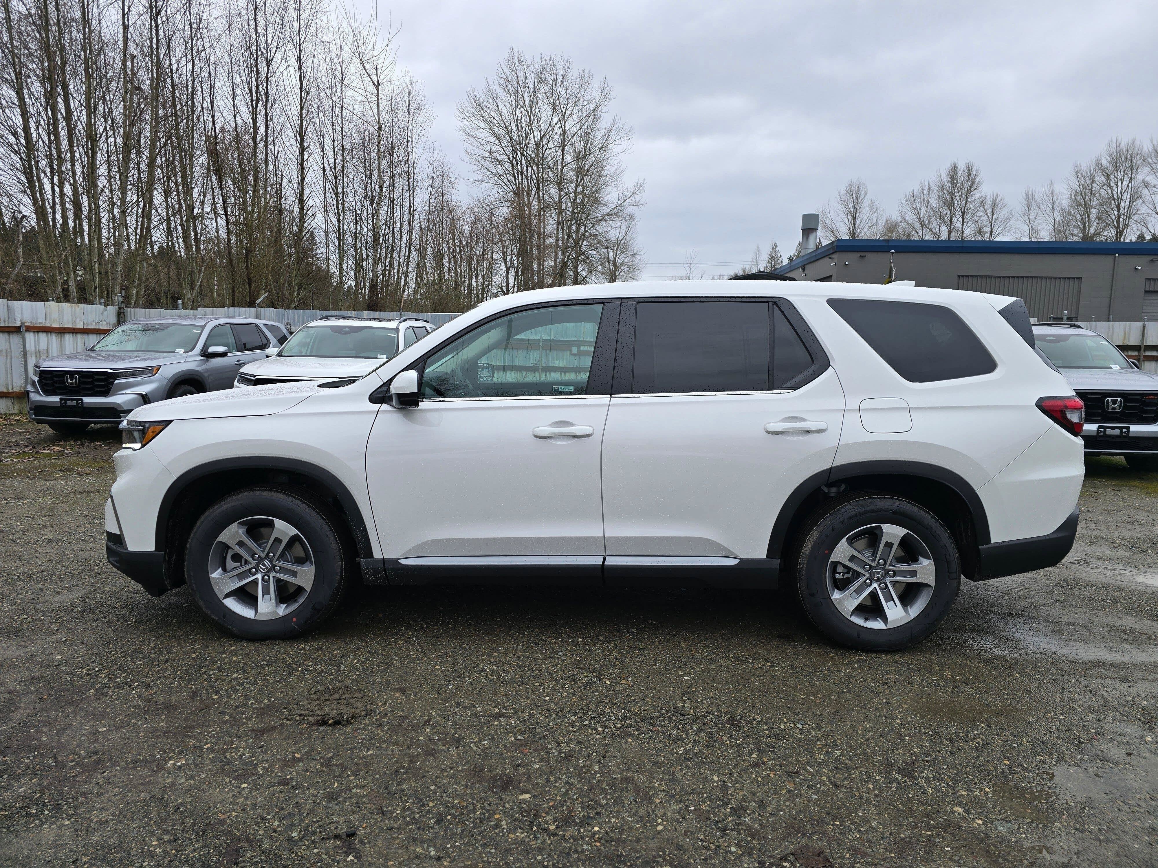 2025 Honda Pilot EX-L