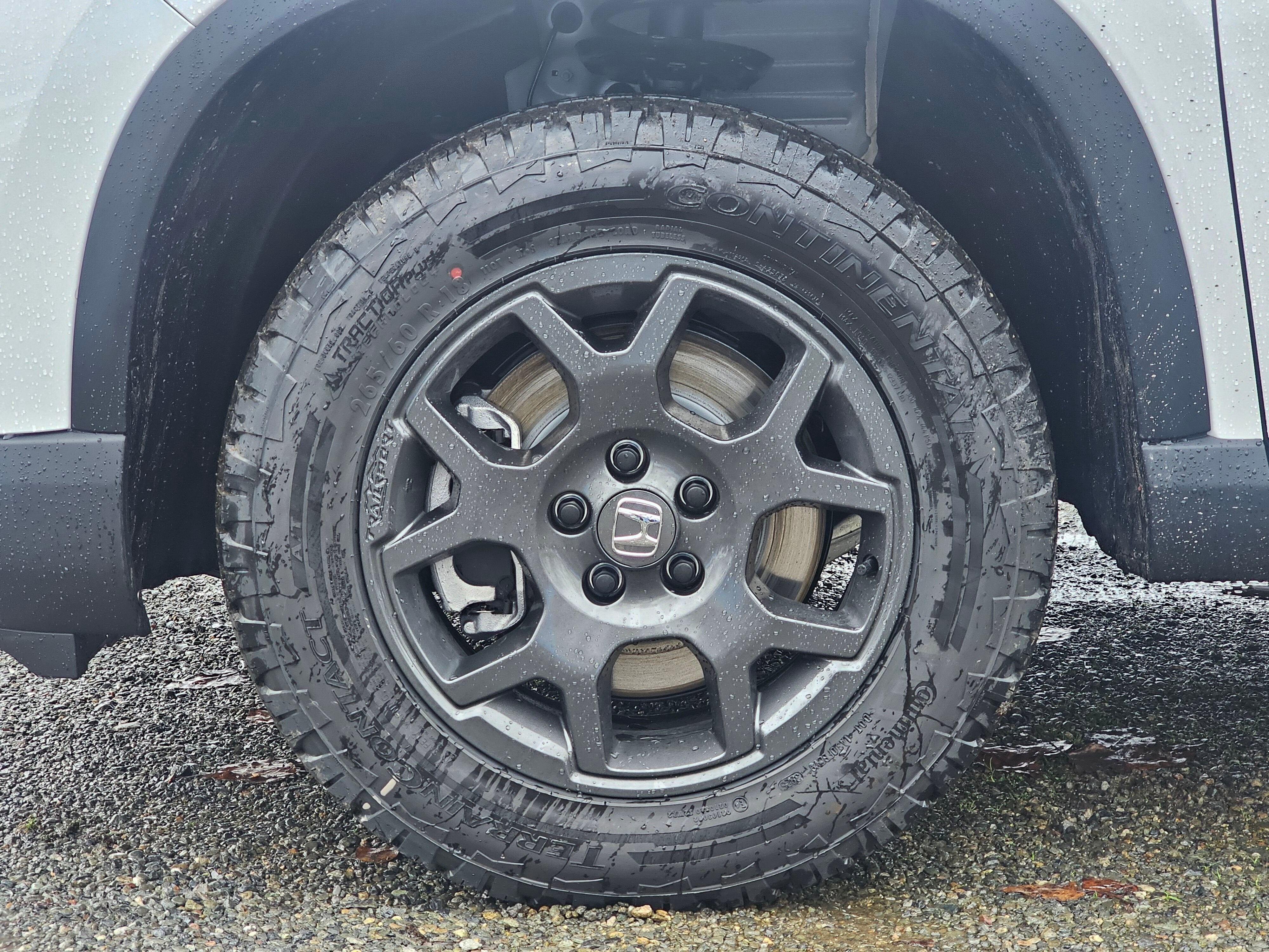 2025 Honda Pilot TrailSport