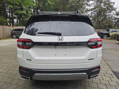 2026 Honda Pilot TRG