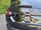 2026 Honda Pilot Touring S