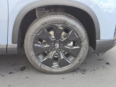 2026 Honda Pilot Black Edition