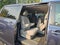 2020 Toyota Sienna XLE