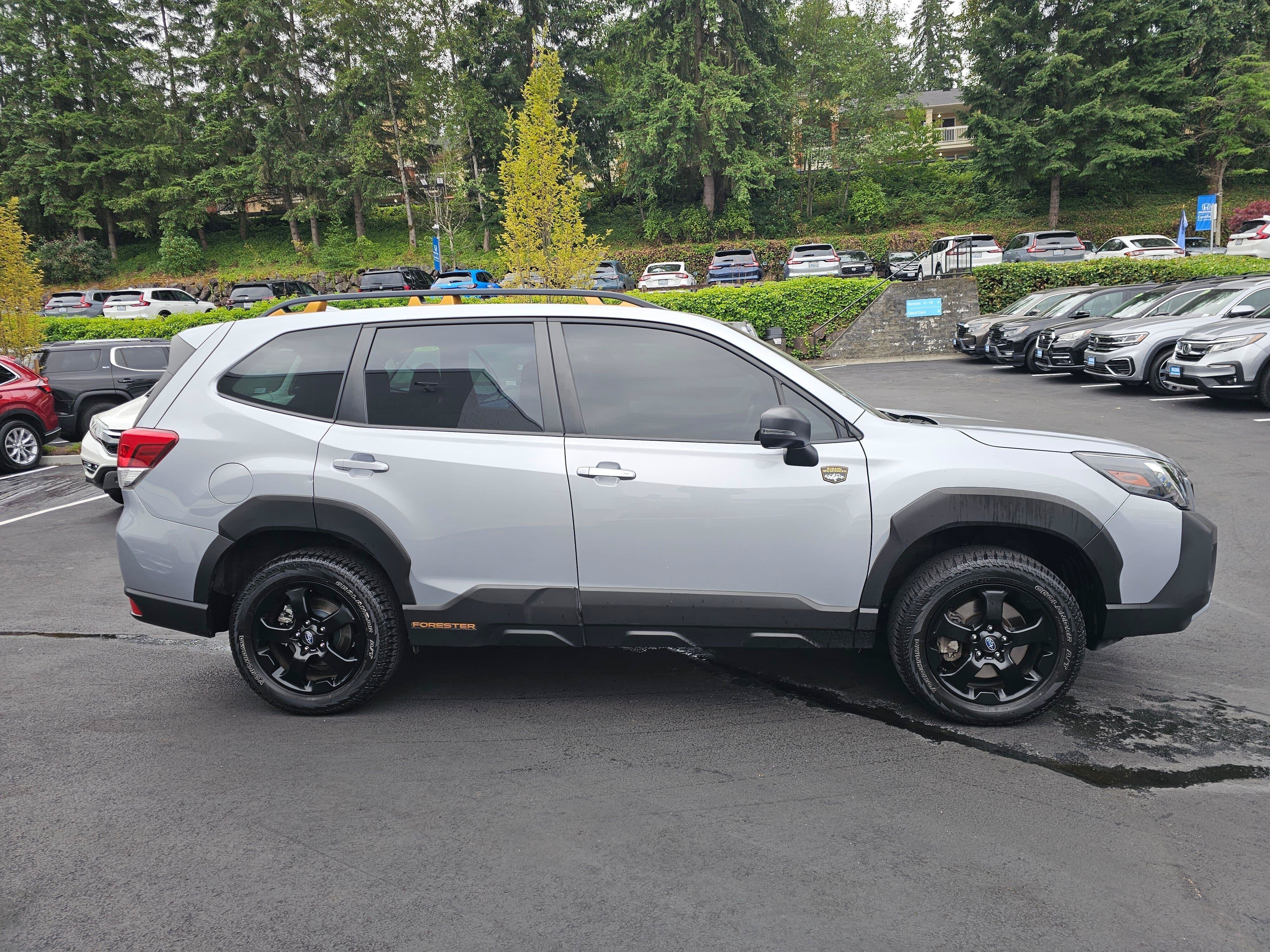 2023 Subaru Forester Wilderness