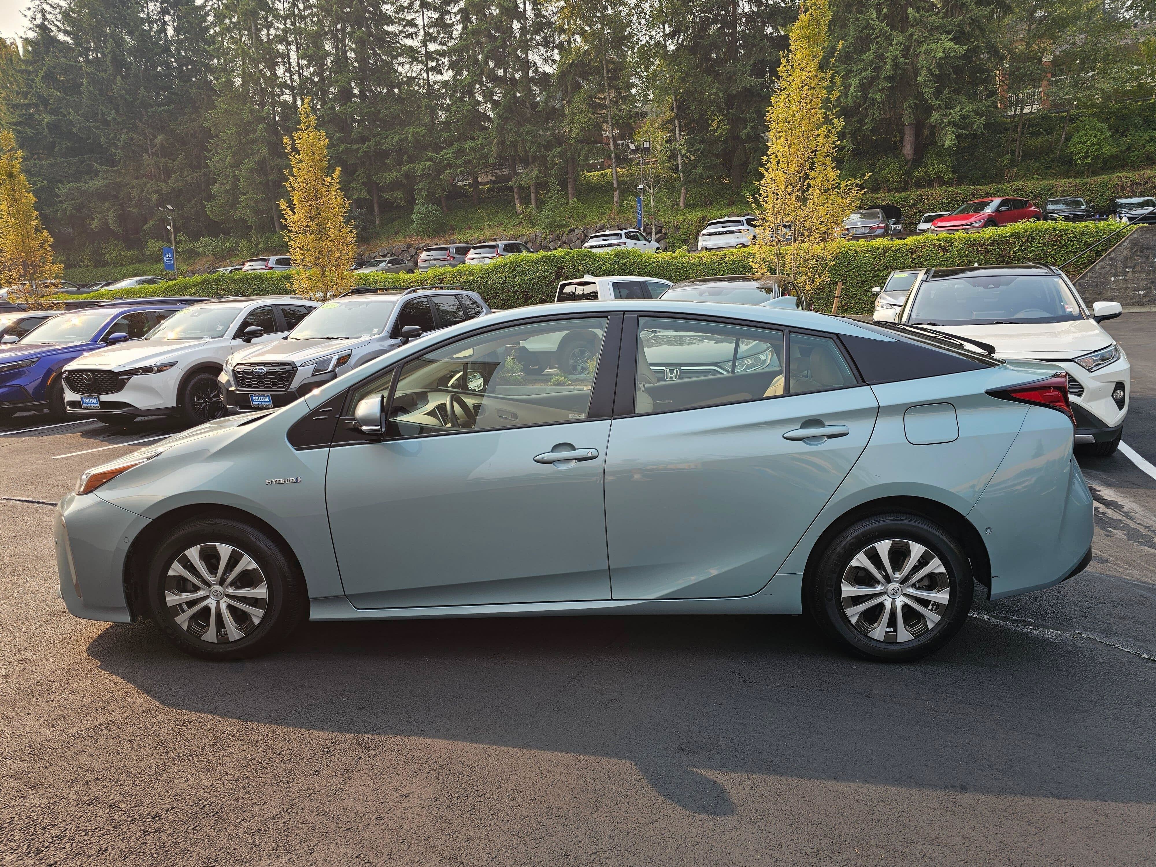 2019 Toyota Prius XLE