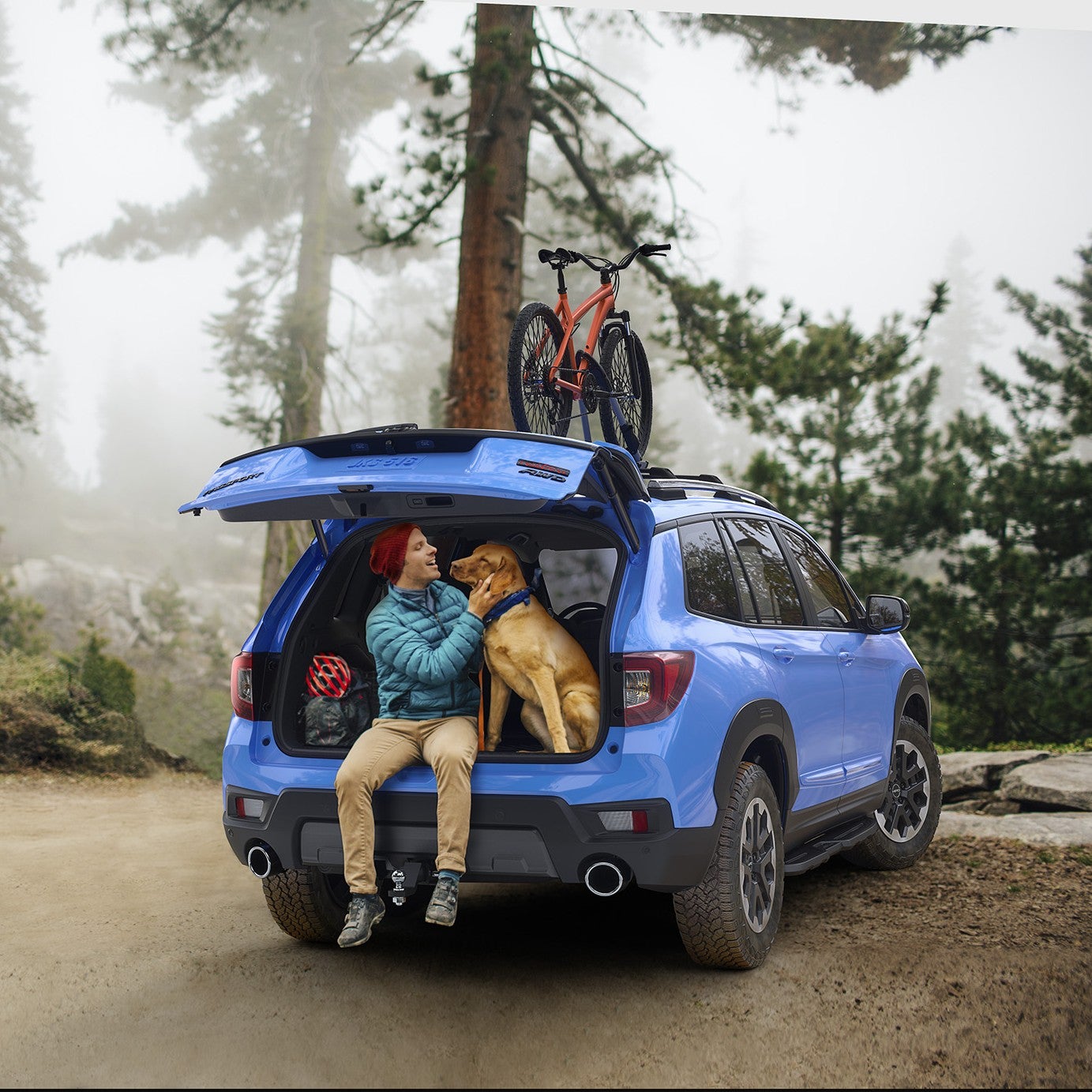 Genuine Honda Accessories